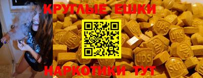 стаф Кунгур