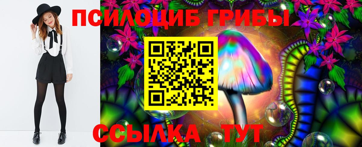 Псилоцибиновые грибы MAGIC MUSHROOMS  Вход с VPN  Галлюциногенные грибы Psilocybine cubensis  Знаменск 